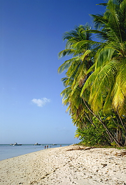 Pigeon Point, Tobago, West Indies, Caribbean, Central America