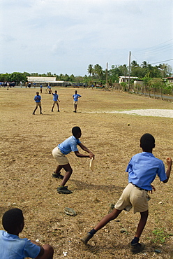 School boys playing cricket, Tobago, West Indies, Caribbean, Central America