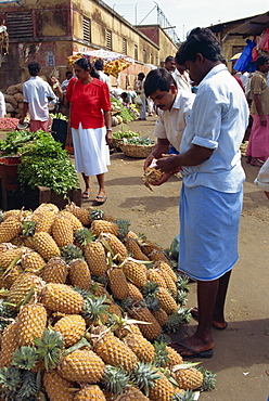 Market vendor selling pineapples, main market area, Kandy, Sri Lanka, Asia