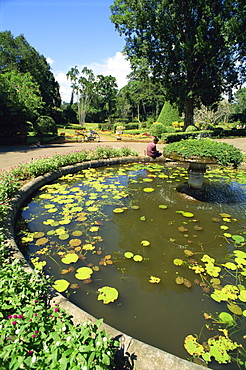 Botanical Gardens, Peradeniya, Kandy, Sri Lanka, Asia