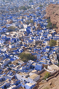 View from fort of blue houses of Brahmin caste residents of city, Jodhpur, Rajasthan state, India, Asia