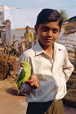 Boy with pet parrot, Dhariyawad, Rajasthan state, India, Asia