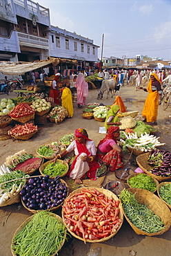 Fruit and vegetable sellers in the street, Dhariyawad, Rajasthan State, India