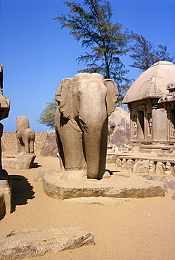 Mahabalipuram, UNESCO World Heritage Site, Tamil Nadu state, India, Asia