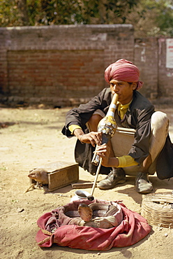 Snake charmer, Delhi, India, Asia