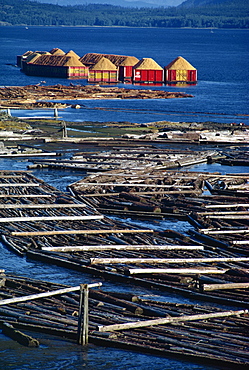 Logs booms on the Campbell River, British Columbia, Canada, North America