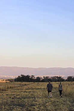 A couple walk towards the Witwatersrand mountains, Magaliesburg, Gauteng, South Africa, Africa.