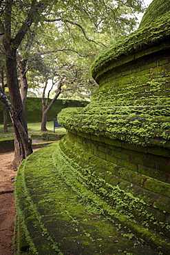 Ridges of the dome shaped structure in the Kiri Vihara Buddhist temple ruins, Polonnaruwa, UNESCO World Heritage Site, Sri Lanka, Asia 