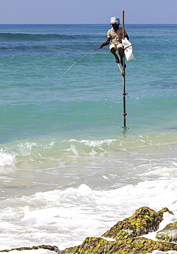 Stilt fisherman using traditional fishing techniques on a wooden pole, Weligama, Sri Lanka, Indian Ocean, Asia 