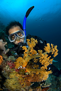 Soft Coral & diver. Siamil Island, Malaysia