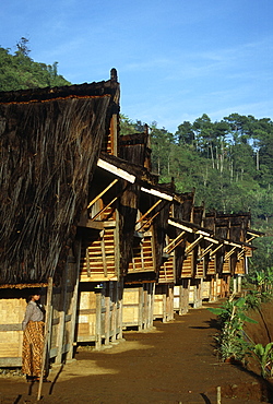 Traditional rice barns (leuit) of Kasepuhan community of West Java, Indonesia