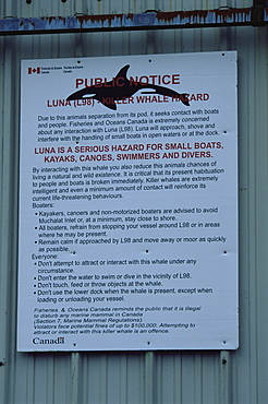 Public notice about the orca/ killer whale (Orcinus orca) in Nootka Sound, West Vancouver Island, Canada, North Pacific.