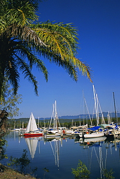 The Marina, Port Douglas, Queensland, Australia