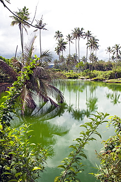 Hot spring pool, Sulawesi, Indonesia, Southeast Asia, Asia