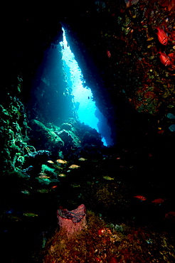 Swim through, Dominica, West Indies, Caribbean, Central America