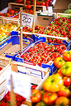 Tomatoes for sale at Capo Market, a fruit, vegetable and general food market in Palermo, Sicily, Italy, Europe