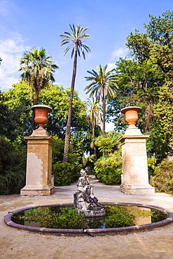 Palermo Botanical Gardens (Orto Botanico), Palermo, Sicily, Italy, Europe 