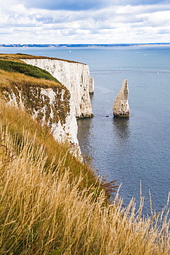 Chalk stacks and cliffs at Old Harry Rocks, between Swanage and Purbeck, Dorset, Jurassic Coast, UNESCO World Heritage Site, England, United Kingdom, Europe 