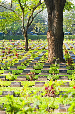 Lines of thousands of graves among trees at Kanchanaburi War Cemetery, Thailand, Southeast Asia, Asia