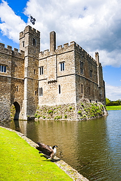 Leeds Castle, Maidstone, Kent, England, United Kingdom, Europe 