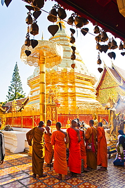 Group of Buddhist monks praying at Wat Doi Suthep Temple, Chiang Mai, Thailand, Southeast Asia, Asia