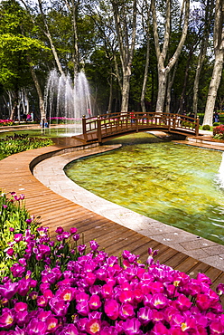 Tulips and fountains in Gulhane Park (Rosehouse Park), Istanbul, Turkey, Europe