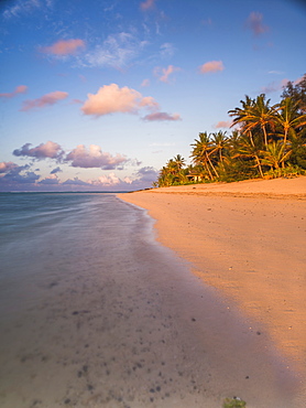 Tropical beach with palm trees at sunrise, Rarotonga, Cook Islands, South Pacific, Pacific