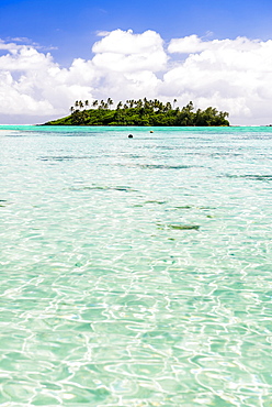 Tropical island of Motu Taakoka covered in palm trees in Muri Lagoon, Rarotonga, Cook Islands, South Pacific, Pacific