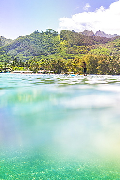 Paddleboarding in Muri Lagoon with Rarotonga in the background, Cook Islands, South Pacific, Pacific