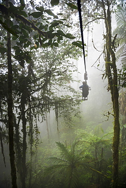 Mashpi Lodge Sky Bike on a misty morning in the Choco Rainforest, an area of Cloud Forest in Pichincha Province, Ecuador, South America