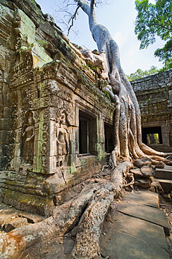 Angkor, UNESCO World Heritage Site, Siem Reap, Cambodia, Indochina, Southeast Asia, Asia