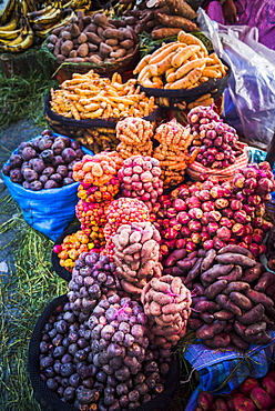 Different potatoes for sale at a food market in La Paz, La Paz Department, Bolivia, South America