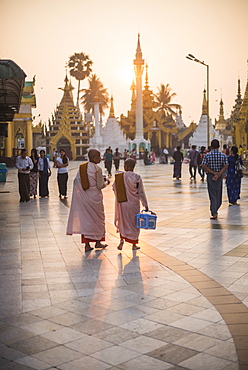 Buddhist nuns in pink robes at sunrise at Shwedagon Pagoda (Golden Pagoda), Yangon (Rangoon), Myanmar (Burma), Asia