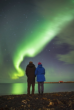 Couple watching the Northern Lights (Aurora Borealis), Reykjavik, Iceland, Polar Regions