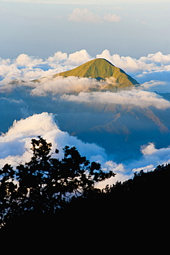 Mountain summit rising high above the clouds taken from Mount Rinjani volcano, Lombok, Indonesia, Southeast Asia, Asia