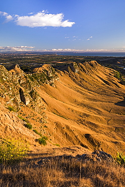 Te Mata Peak at sunrise, Hastings near Napier, Hawkes Bay Region, North Island, New Zealand, Pacific