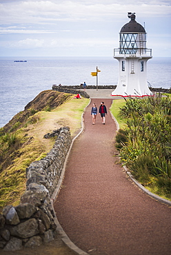 Cape Reinga Lighthouse (Te Rerenga Wairua Lighthouse), Aupouri Peninsula, Northland, New Zealand, Pacific