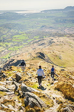 Climbing Cnicht, Snowdonia National Park, North Wales, Wales, United Kingdom, Europe