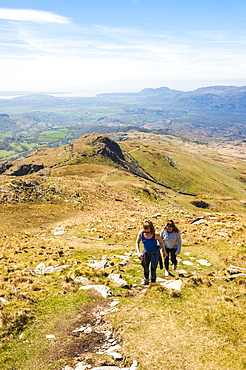 Climbing Cnicht, Snowdonia National Park, North Wales, Wales, United Kingdom, Europe