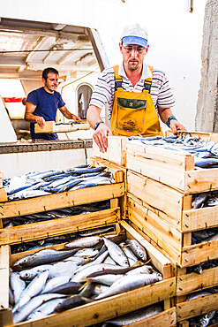 Fish market, Almeria, Andalucia, Spain, Europe