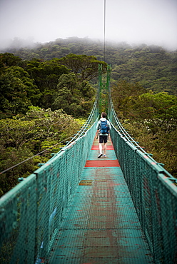 Selvatura Treetop hanging bridges, Monteverde Cloud Forest Reserve, Puntarenas, Costa Rica, Central America