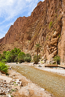 Todgha River running through the Todra Gorge, Morocco, North Africa, Africa 