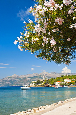 Franciscan Monastery, Lopud Island, Elaphiti Islands (Elaphites), Dalmatian Coast, Adriatic Sea, Croatia, Europe 