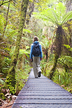 Lake Matheson, tourist on the walkway in the forest, Westland National Park, South Island, New Zealand