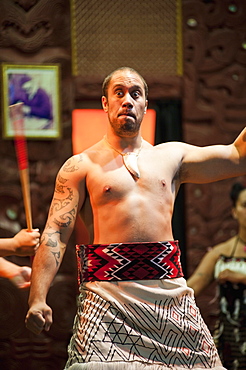 Maori man performing the Haka at Te Puia Moari Village, Rotorua, North Island, New Zealand, Pacific