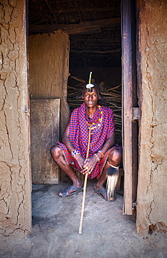 Portrait of a single Masai Mara man wearing traditional jewelry, headpiece and clothes, Masai Mara National Reserve, Kenya, East Africa, Africa