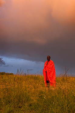 A Masai Mara man wearing traditional tribal red blanket, Masai Mara National Park, Kenya, East Africa, Africa