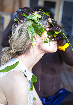 Aboriginal Yolngu elder applying local plants to sand bite wounds, East Arnhem Land, Northern Territory, Australia, Pacific