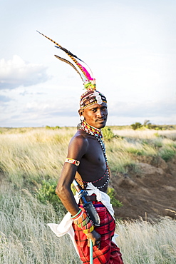 Portrait of a single Samburu tribal member in traditional clothing, Kenya, East Africa, Africa