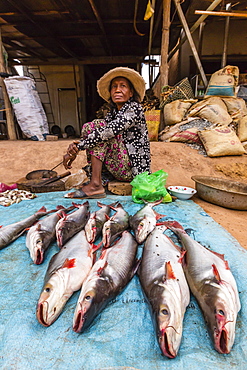 A woman selling fish in the village of Kampong Tralach on the Tonle Sap River, Kampong Chhnang Province, Cambodia, Indochina, Southeast Asia, Asia